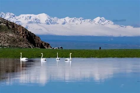去新疆旅游需要多少钱？有哪些景点比较好玩？希望去过的朋友给些建议,十分感谢！
