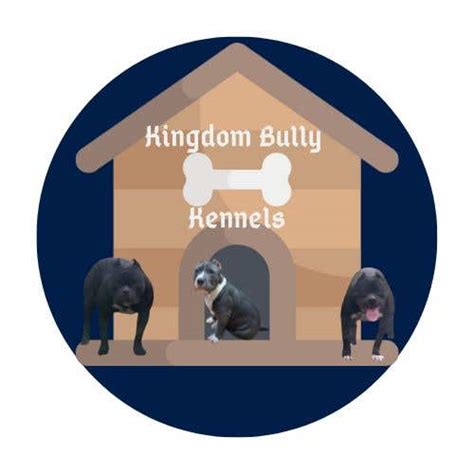 Logo for Kingdom Bully Kennels | Freelancer