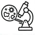 Buy 24g Whey Protein Concentrate