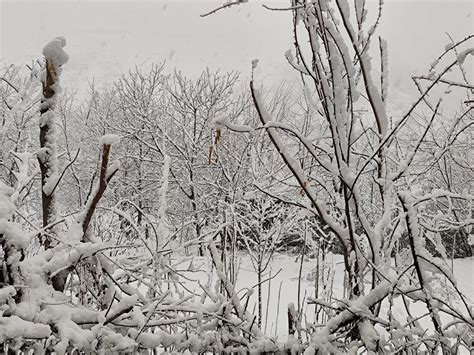 Snowfall, rains end prolonged dry spell in Ramban district