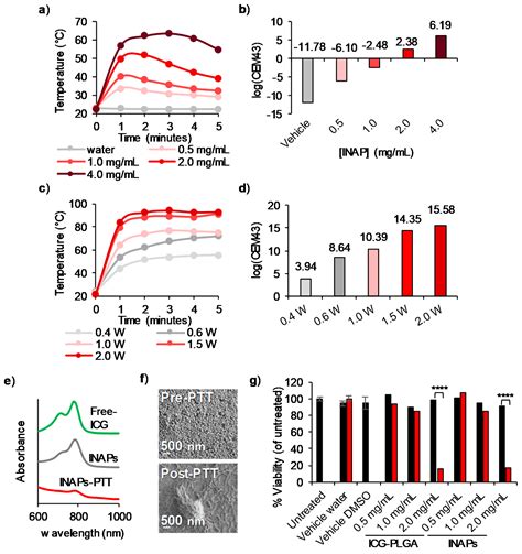 Indocyanine Green-Nexturastat A-PLGA Nanoparticles Combine Photothermal ...