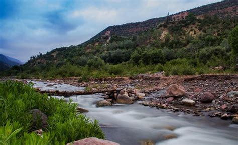 Wonderful - Reviews, Photos - Asni travel - Tripadvisor