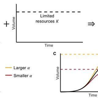 Image result for Logistics Model Formula