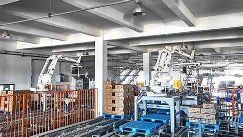 Company Overview - Guangdong Binqi Foods Co., Ltd.