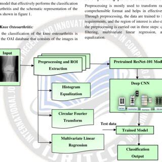 Knee Net Deep Learning Model 的图像结果