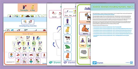 Science Sign Twinkl 的图像结果