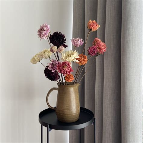 Do Dried Flowers Keep Their Color | Best Flower Site