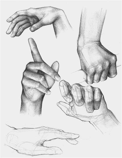 Image result for Hand Drawing in Module