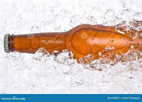 Ice cold beer stock image. Image of brew, alcohol, beer - 5700019