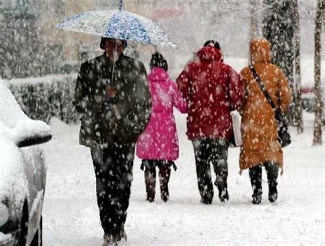 山东迎2020年首次大范围雨雪天气 16市降雪 局部大暴雪_手机新浪网