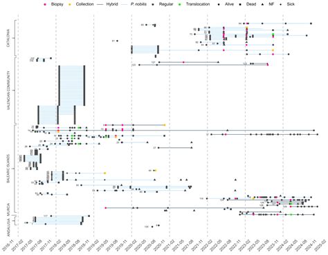 Chasing Pinna nobilis Survivors: Current Status in Spanish Open Coastal ...
