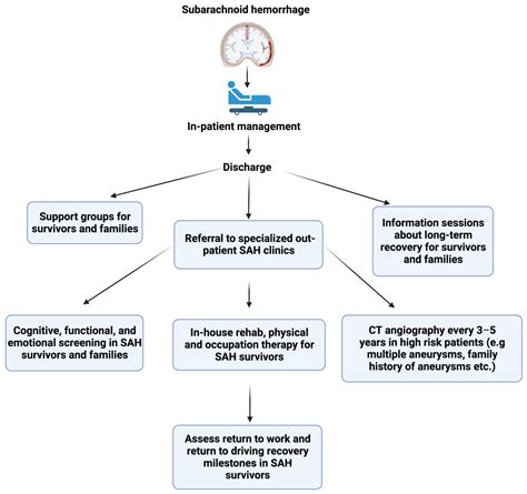 Neurocognitive Sequelae and Rehabilitation after Subarachnoid ...