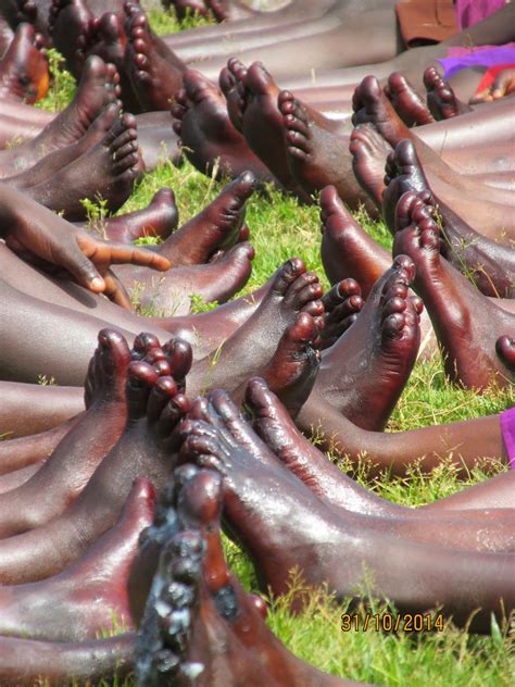 What Are Jiggers And What Do They Do at Nathan Mcnicholas blog