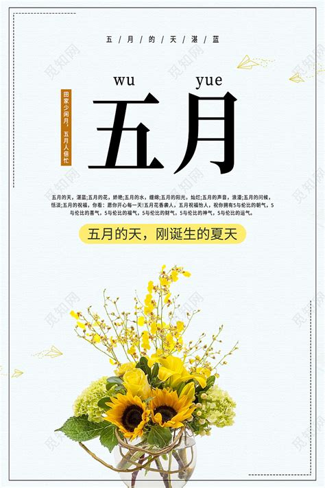 黄色清新花卉简约五月你好五月5月你好海报图片下载 - 觅知网
