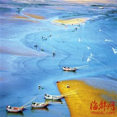 到霞浦滩涂赴光影之约 成就眼中的“最美滩涂” - 文明巡礼 - 东南网
