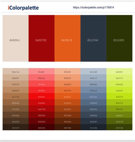 Light Color 的图像结果