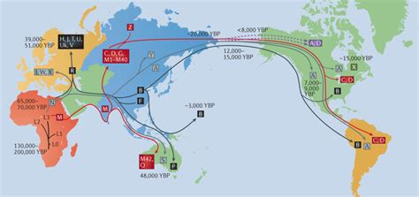 Evolution Map 的图像结果