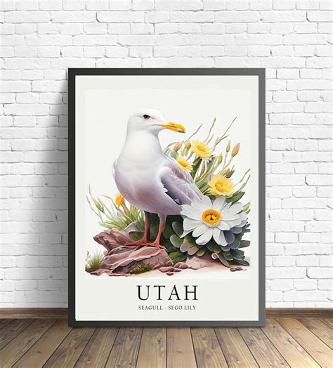 State Flower Of Utah