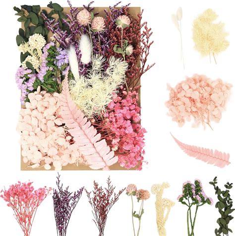 HREDZEO Pressed Dried Flowers Leaves,21 Pcs Dried Pressed Flower Leaves ...