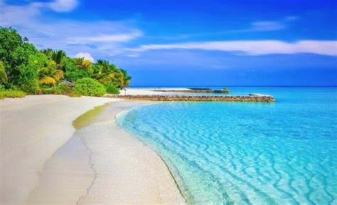 Image result for paradise