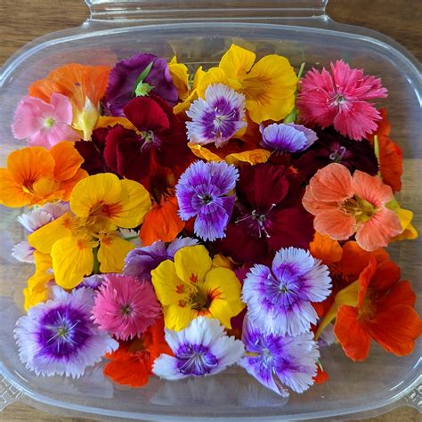 Edible Fresh Flowers | Cherry Valley Organics