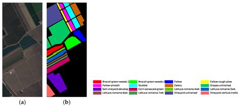 Global Random Graph Convolution Network for Hyperspectral Image ...