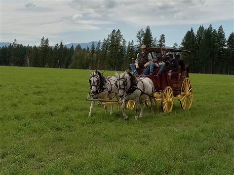 BIGFORK STAGECOACH (2026) All You Need to Know BEFORE You Go (with ...
