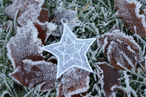 Image result for How to Digitize FSL