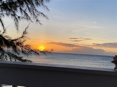 BOHIO DIVE RESORT (2026) All You Need to Know BEFORE You Go (with ...