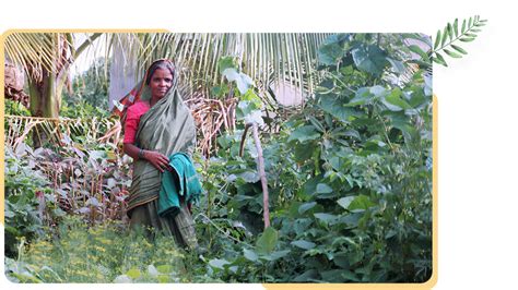 Kitchen and Community Gardens