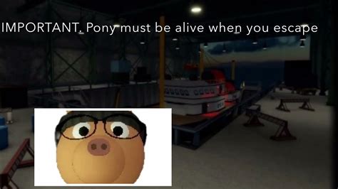 Tio Camp Code 的图像结果