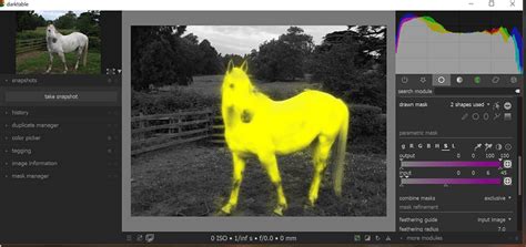 Darktable Retoque Tutorial 的图像结果