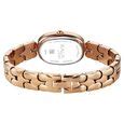 Buy Online Titan Raga Showstopper Quartz Analog Rose Gold Dial Rose ...