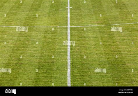 Natural Grass Field 的图像结果