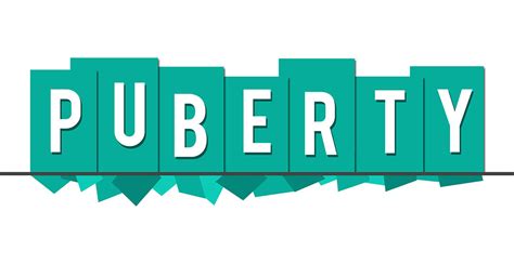 The Ultimate Guide to Puberty and Sexual Development for Teens – Re:Pad