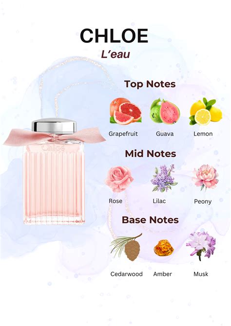 Chloe L'Eau Perfume Notes: Top, Mid, Bottom Notes | Fragrance Breakdown ...