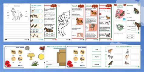 ANZAC Animals Activity Pack (teacher made) - Twinkl