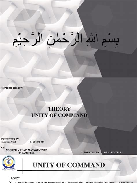 Theory Unity of Command | PDF