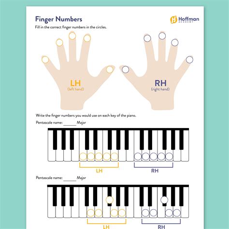 Piano Finger Numbers | Beginner Activity Sheet PDF