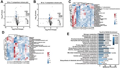 Biomarkers of Adipose Color: A Multi-Omics Analysis Unravels the ...