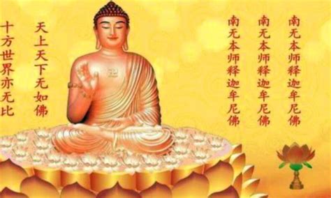 南无阿弥陀佛 | Buddhist art, Buddha life, Buddha art