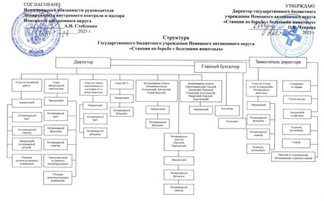 Структура ГБУ НАО «СББЖ» — ГБУ НАО "СББЖ"