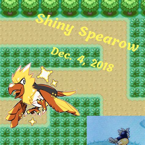 Shiny Spearow Pokemon Go
