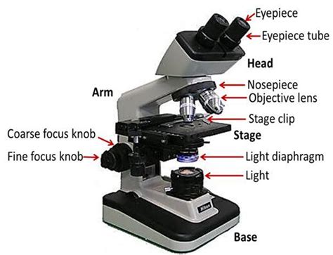 Microscope Label 的图像结果