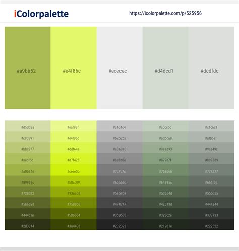 Light Color 的图像结果