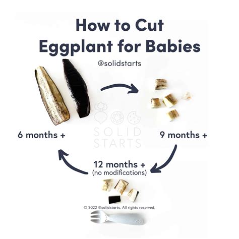 Eggplant for Babies - First Foods for Baby - Solid Starts