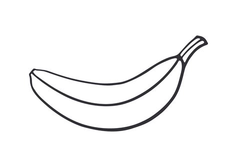Outline Of Banana