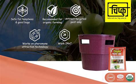 Chipku - Buket Trap with Red Palm Weevil Pack of 1 : Amazon.in: Home ...