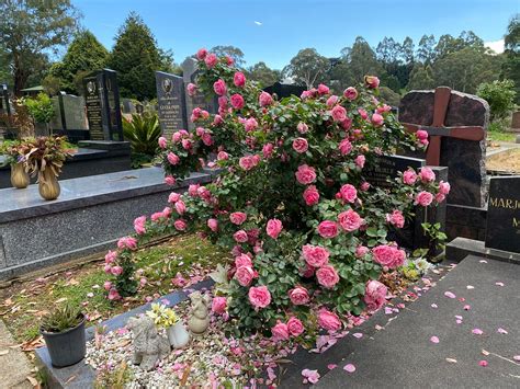 GEMBROOK CEMETERY (2026) All You Need to Know BEFORE You Go (with ...
