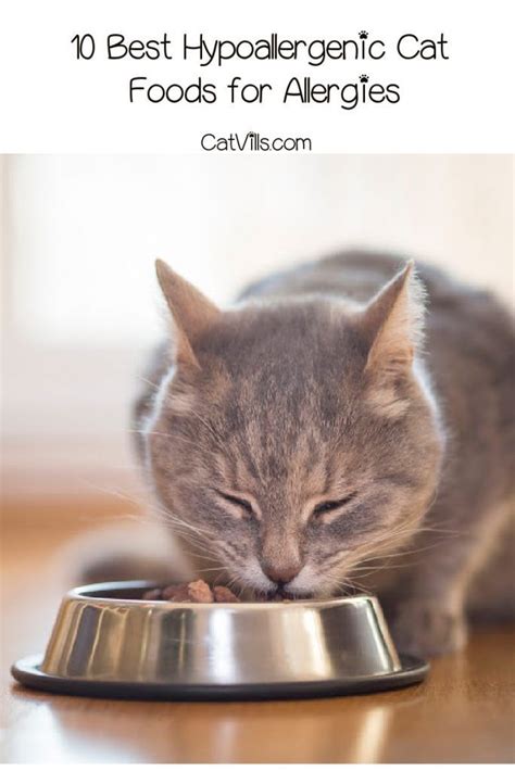 cat food for allergies